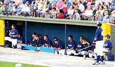 baseball dugout bench players ready to play