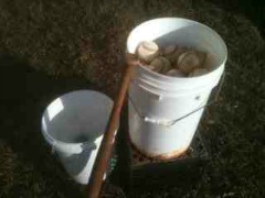 youth baseball coaching baseball buckets for fungo practice