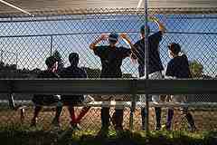 dugout baseball players cheering for home run