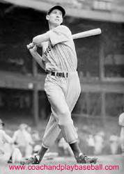 Ted Williams picture swing